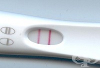 ����� 40 �������� �� ������ ������� �� ����������� ��� ��� ������� �� ����� ���������